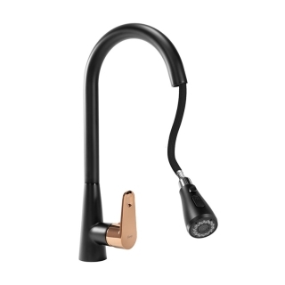 Dřezové baterie se sprchou