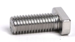 Altamira Šroub \"T\" Typ 28/15, nerez