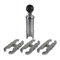 Klum Lis pro vlnovec