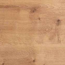 Náhled obrázku:  0007_DARL - Dub arlington.jpg