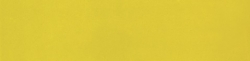 Obklad Ribesalbes Chic Colors amarillo 10x40 cm, lesk