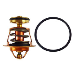 Náhled obrázku: Regulus Termočlen s kuželkou pro ventil TSV5BMF 6/4"M 