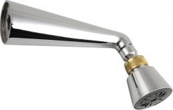 Sapho Nástěnná sprcha s otočným kloubem chrom/zlato