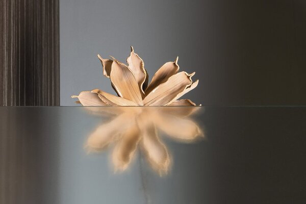 Doplňující obrázek k produktu 